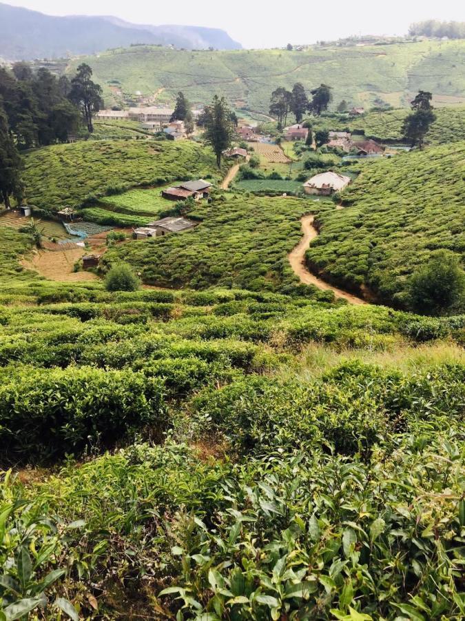 מלון נוארה אליה Unique View Nuwaraeliya מראה חיצוני תמונה